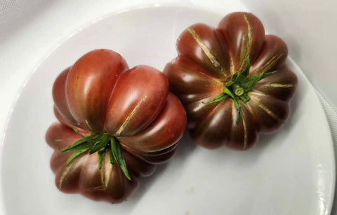 Calabache Pourpre - Semences de tomates cultifreed