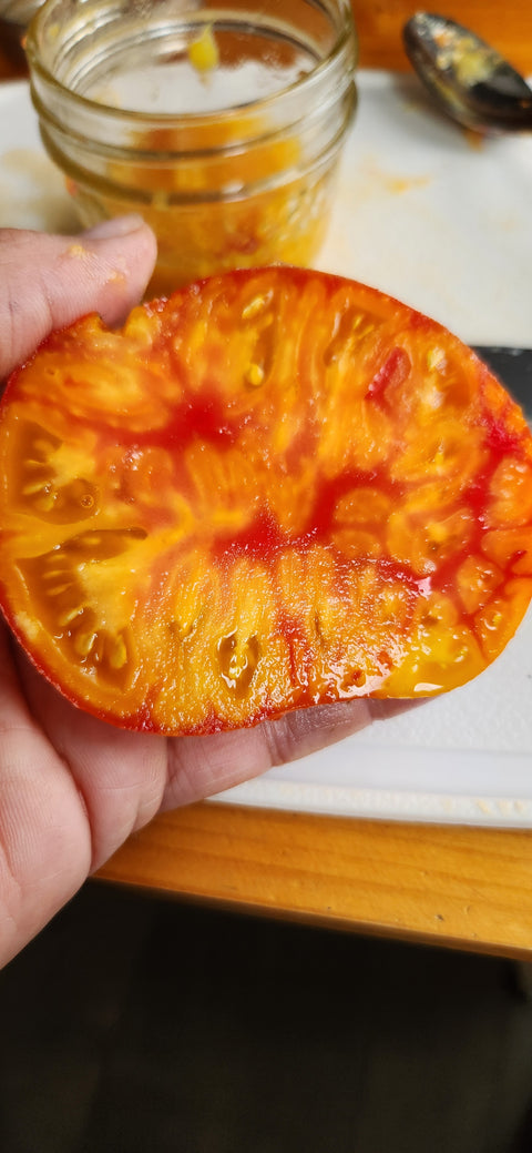 Variétés de tomates tardives cultifreed