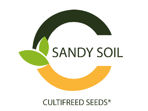 Sandy soil