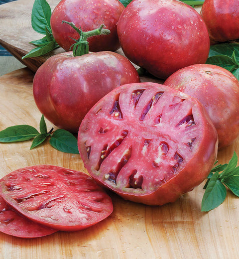 Cherokee - Cultifreed Tomato Seeds