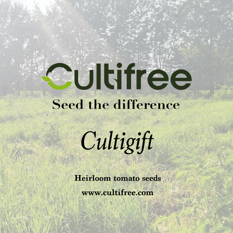 Gift card cultigift